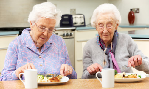 Two older women having a meal together at a kitchen table